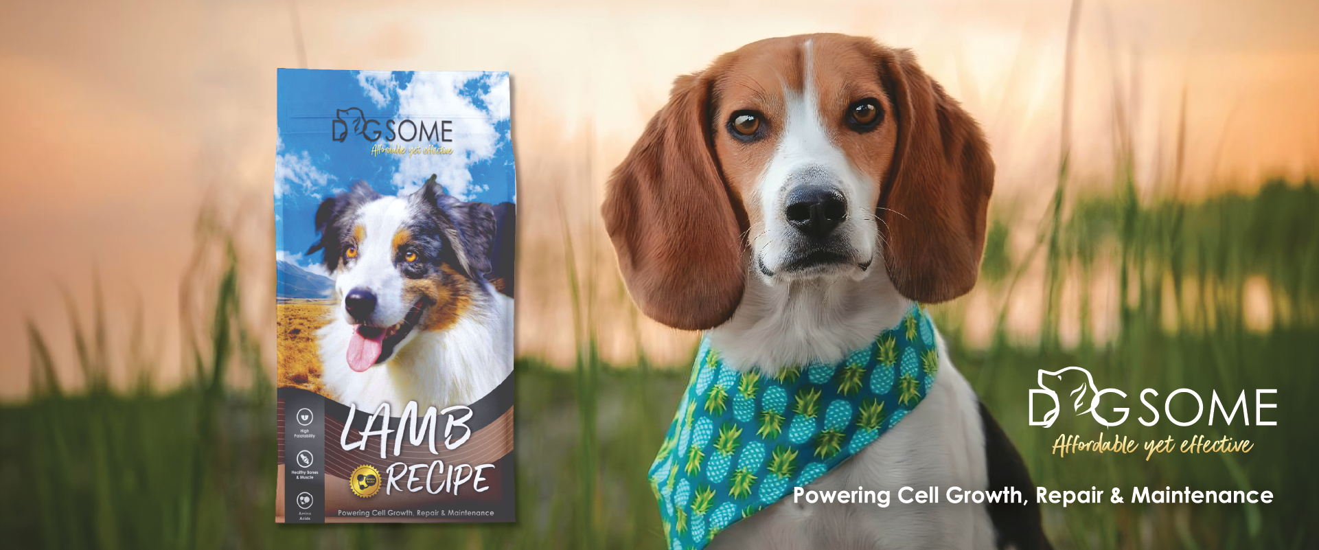 Dogsome Banner5